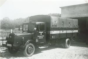 Nag buessig burgloewe.jpg